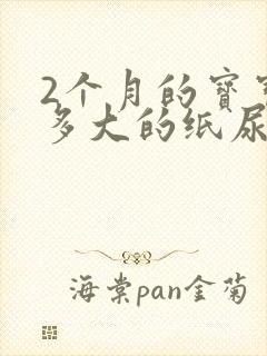 2个月的宝宝用多大的纸尿裤