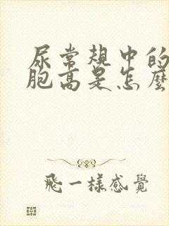 尿常规中的红细胞高是怎么回事