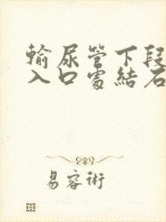 输尿管下段膀胱入口处结石