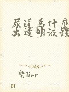 尿道为什么会流出透明液体