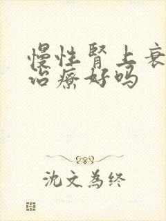 慢性肾上衰竭能治疗好吗