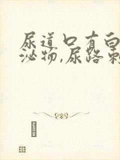 尿道口有白色分泌物,尿路刺痛