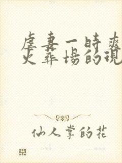 虐妻一时爽追妻火葬场的现言