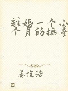 离婚一个小孩一个月的抚养费多少钱