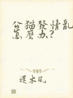 公猫发情乱撒尿怎么办?