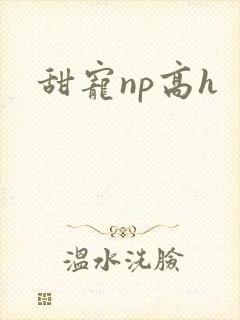 甜宠np高h