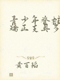 青少年脊椎侧弯矫正支具多少钱