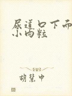 尿道口下面长个小肉粒