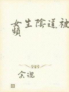 女生阴道被插视频