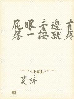 屁眼旁边有个疙瘩一按就疼用什么药