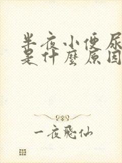 半夜小便尿不出是什么原因