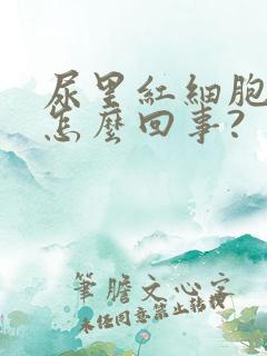 尿里红细胞高是怎么回事?