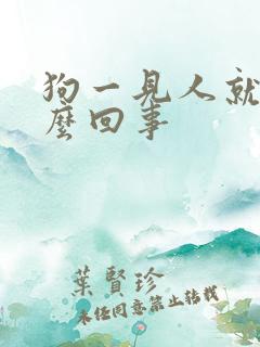 狗一见人就尿怎么回事