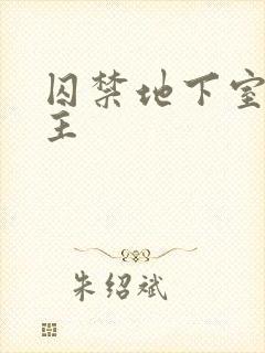 囚禁地下室双男主