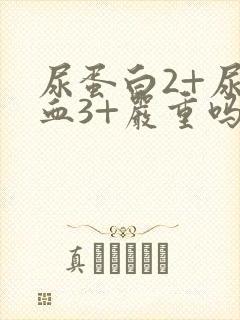 尿蛋白2+尿隐血3+严重吗