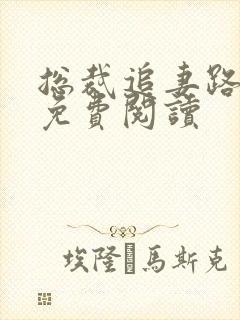 总裁追妻路漫漫免费阅读