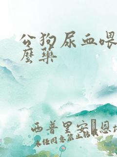 公狗尿血喂点什么药