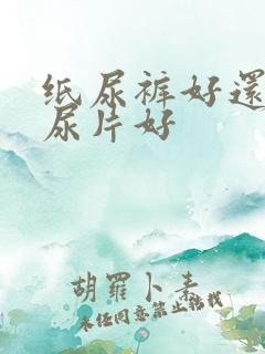 纸尿裤好还是纸尿片好