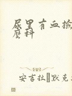 尿里有血检查什么科