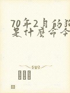 70年2月的狗是什么命今年财运如何