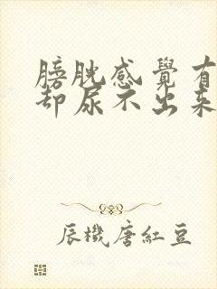 膀胱感觉有尿意却尿不出来