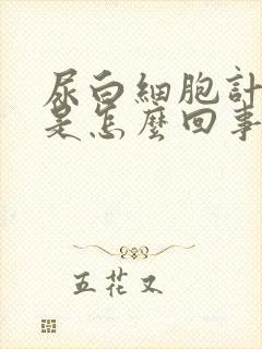 尿白细胞计数高是怎么回事