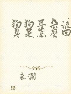 狗狗耳朵流水发臭是怎么回事怎么治