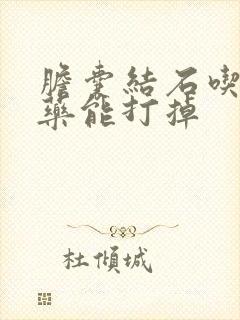 胆囊结石吃什么药能打掉