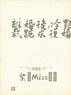 离婚后,冷艳总裁跪求复婚小说版