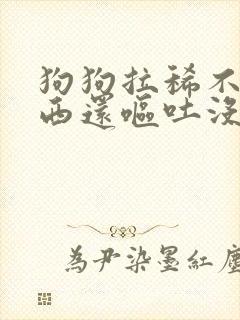 狗狗拉稀不吃东西还呕吐没精神怎么办