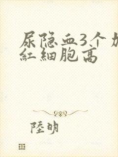 尿隐血3个加号红细胞高