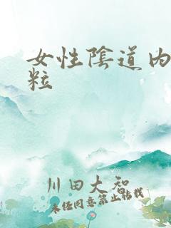 女性阴道内有颗粒