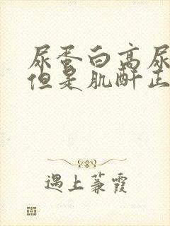 尿蛋白高尿隐血但是肌酐正常