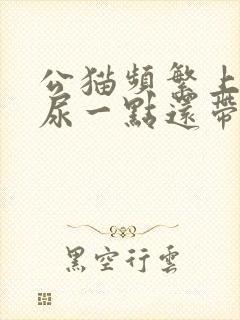 公猫频繁上厕所尿一点还带血