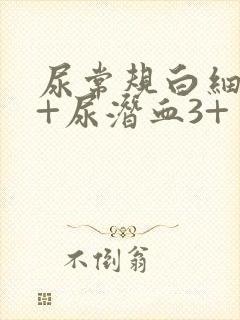 尿常规白细胞3+尿潜血3+