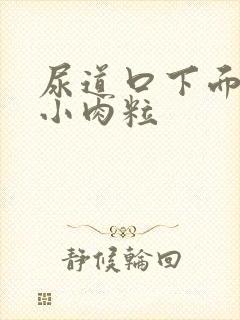 尿道口下面起了小肉粒