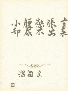 小腹憋胀有尿意却尿不出来