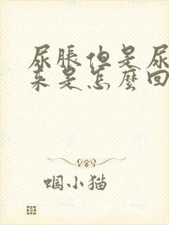 尿胀但是尿不出来是怎么回事