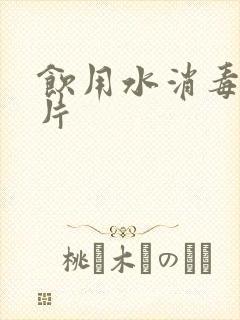 饮用水消毒泡腾片