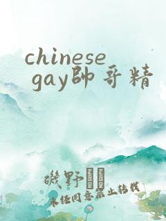 chinese gay帅哥精