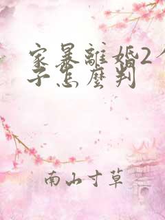 家暴离婚2个孩子怎么判