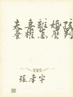 夫妻离婚孩子抚养权怎么判定一个孩子