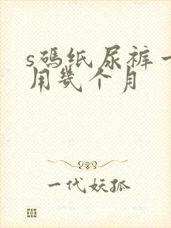 s码纸尿裤一般用几个月