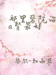 哪里医院治iga肾最好