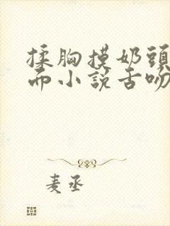 揉胸摸奶头舔下面小说舌吻