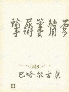 输尿管结石软镜手术费用多少钱