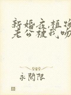 新婚夜,植物人老公被我吻醒了txt