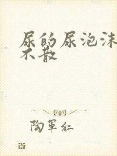 尿的尿泡沫长久不散