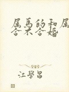 属马的和属兔的合不合婚