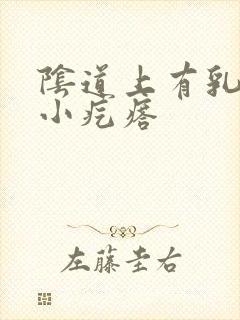 阴道上有乳头状小疙瘩